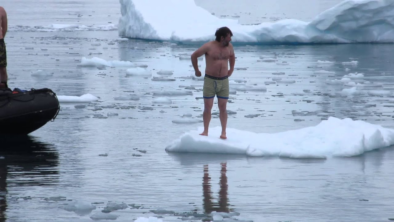 Penguin Club swim time in Antarctica