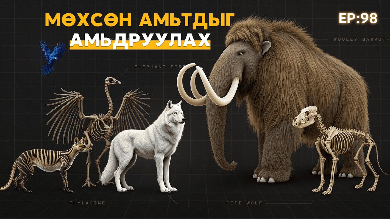 🔍 ШУ-ны хялбаршуулсан нийтлэл Ep : 98 | Мөхсөн амьтдыг амьдруулах | ФУ-ны Доктор, Норовын Тэгшбаяр