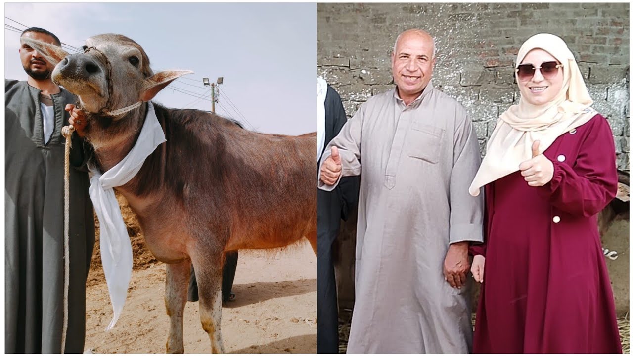 عملاء التوأمان اشتروا العرض اللي فات كله التوأمان علامه تجاريه