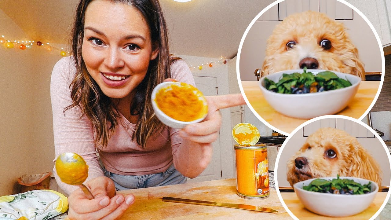 making my dog a 3-course meal