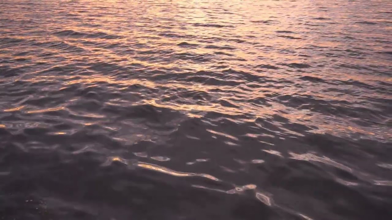 🌊🌅