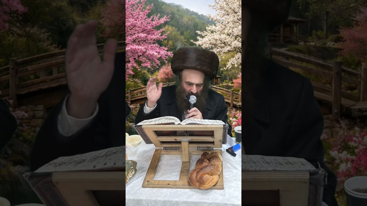 הרב שלמה עופר שליט
