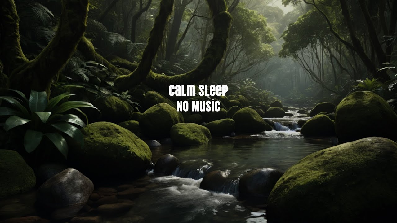 Deep Sleep ASMR – Calm Forest Sounds | Fall Asleep Naturally