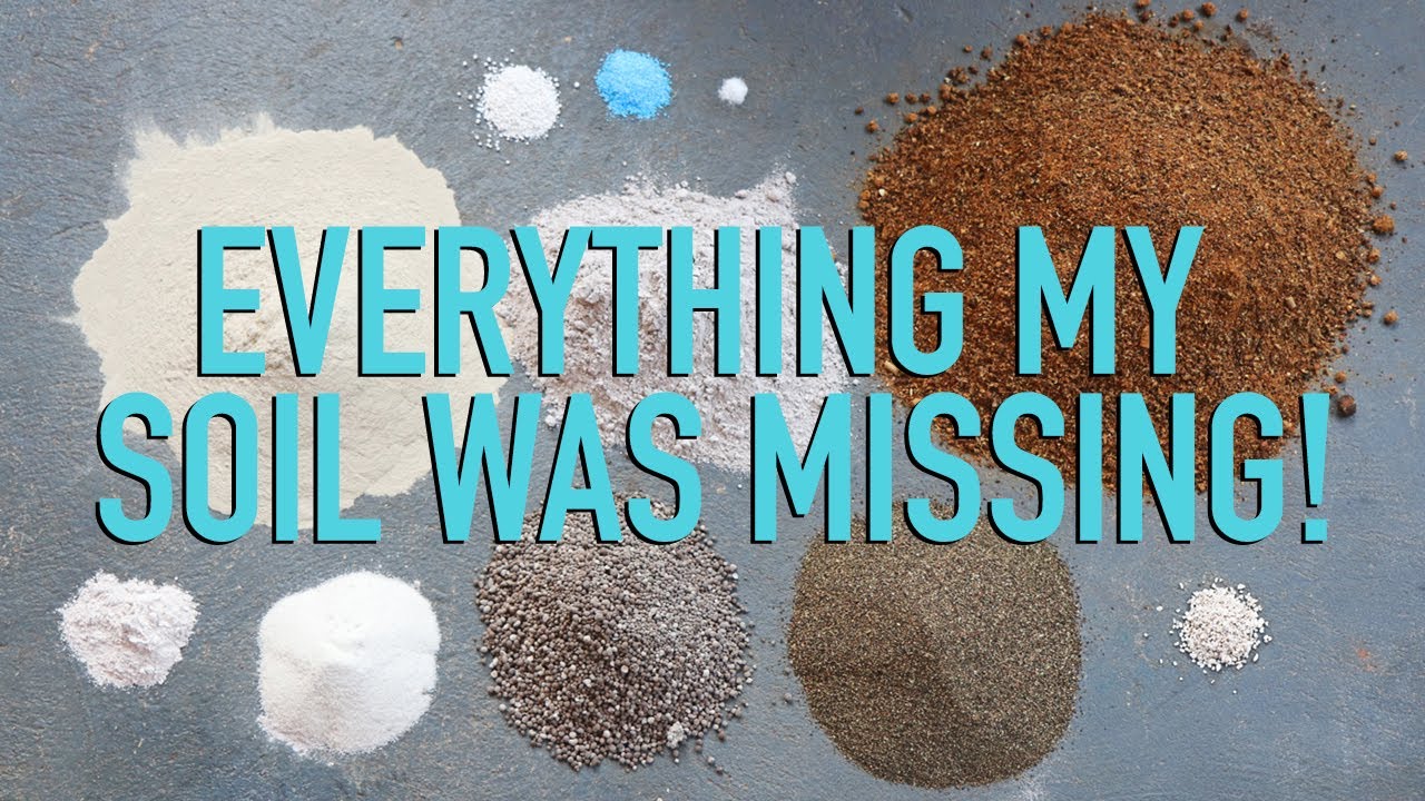 Steve Solomon showed up to fix our bad soil: see what we did!