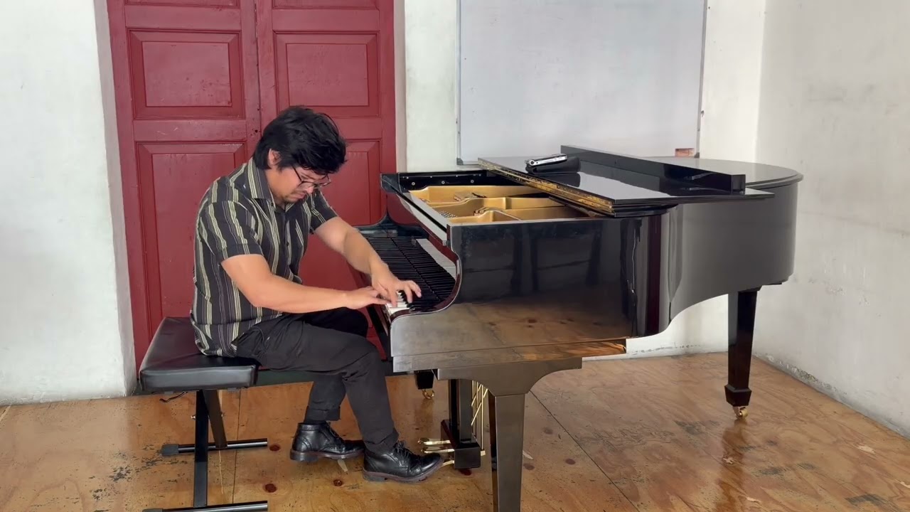 N. Medtner - Forgotten Melodies I, Op.38: I. Sonata-Reminiscenza 