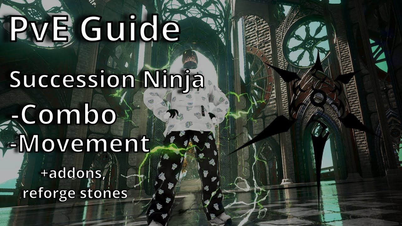 BDO | Succession Ninja PvE Guide - Combo Update/Movement/Addons/Reforge Stones