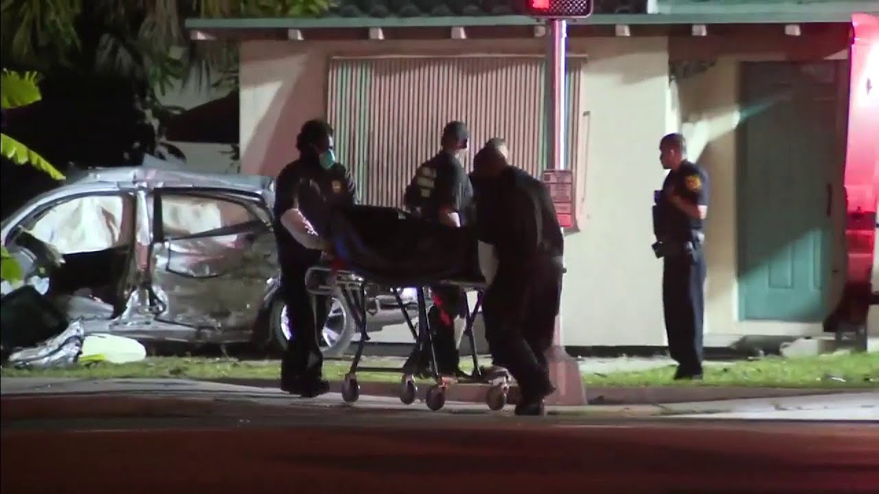 Police investigate fatal crash