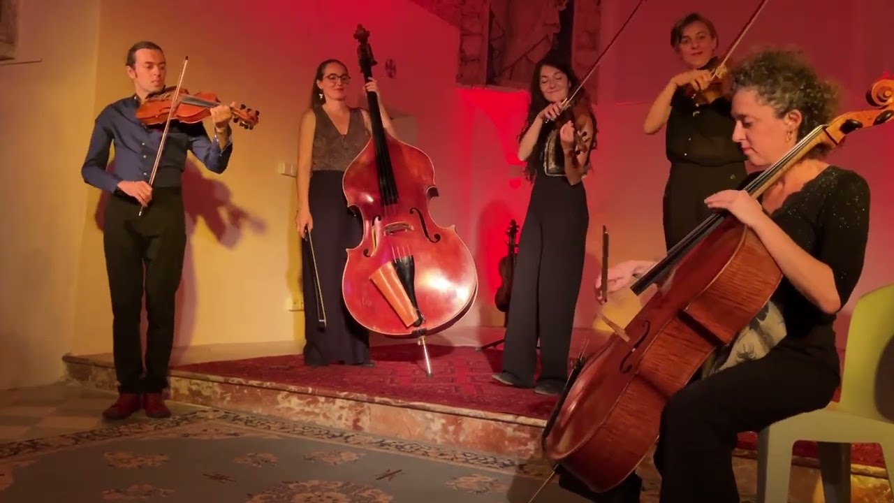 Quintet Bumbac 