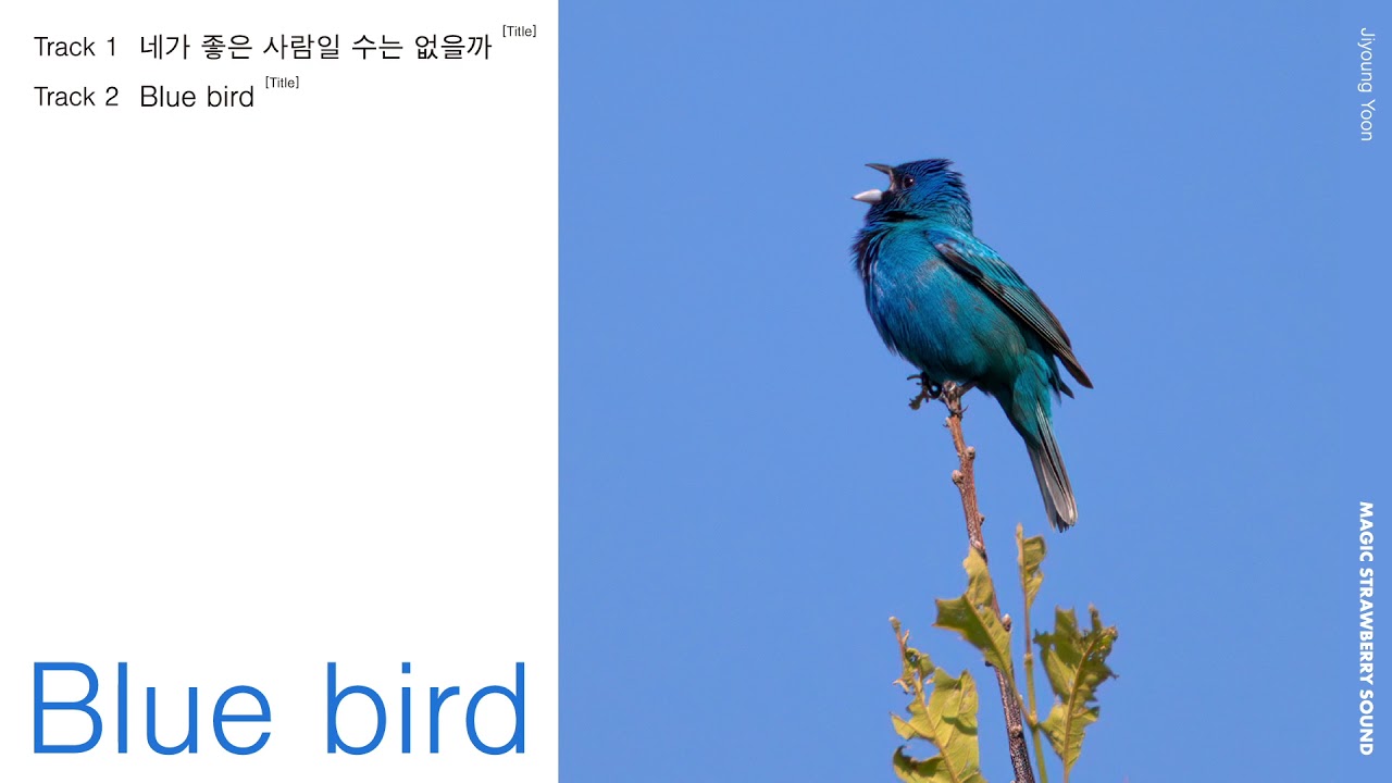 [Full Album] 윤지영 (Yoon Jiyoung) - 'Blue bird'