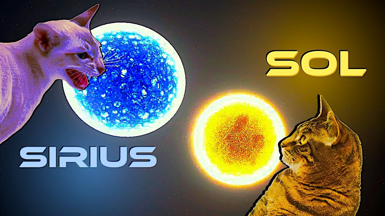 Colidindo ESTRELAS no Universe Sandbox 2