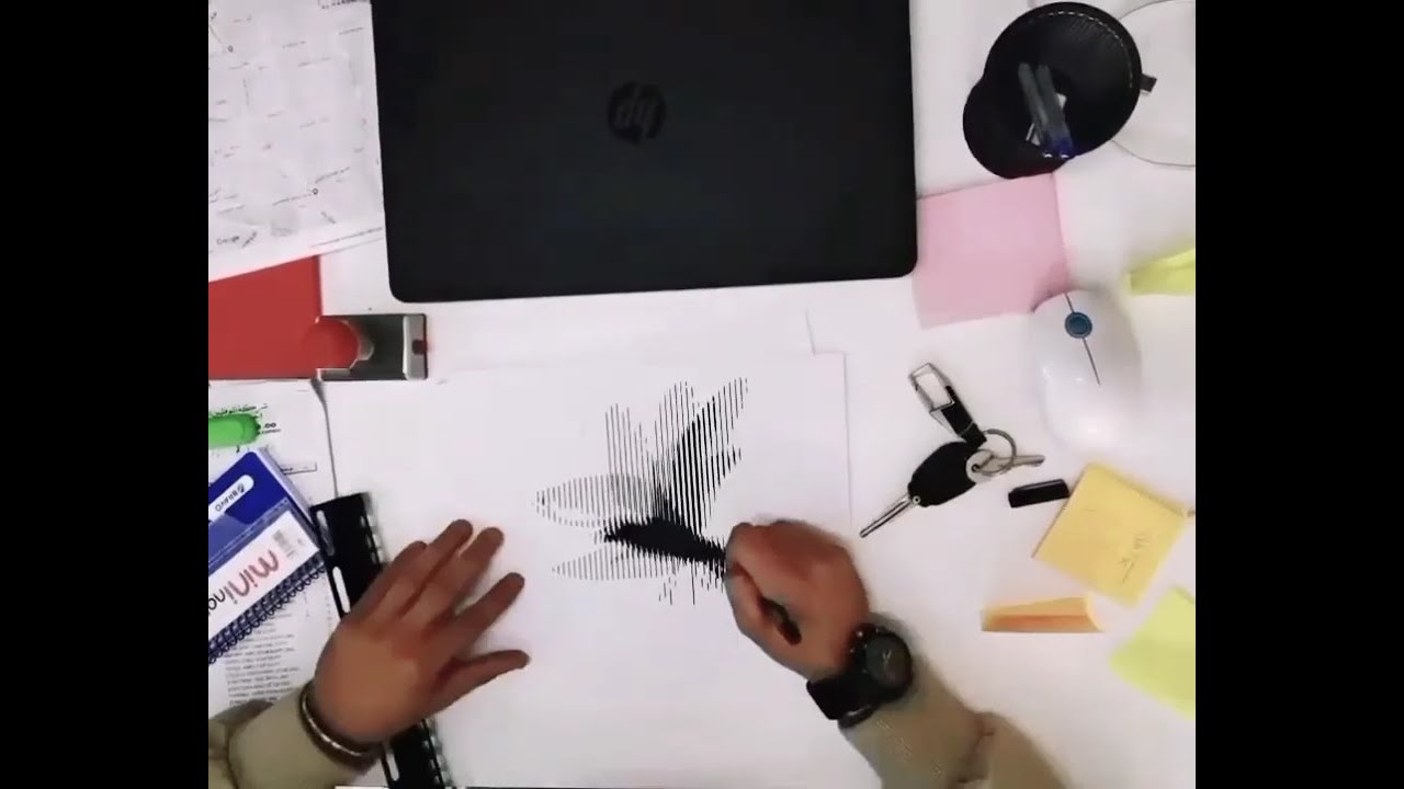 Speed painting flying bird illusion ( ink )