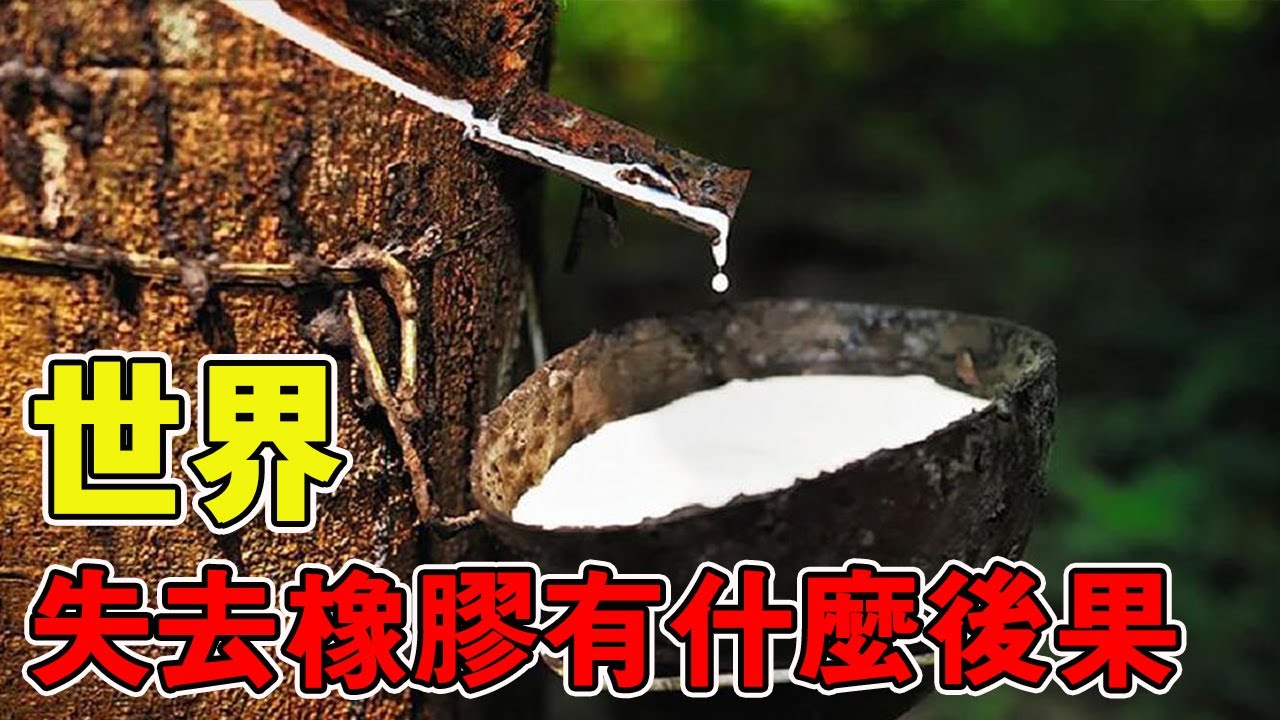 工業界的 「隱形基石」！失去橡膠會發生什麼事？人類工業實力直接倒退 100 年絕非誇張！ 【黑土日記】