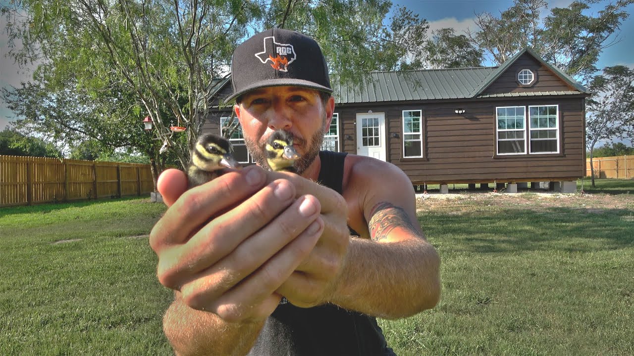 So Many SURPRISES! | Shed To House | South Texas Living