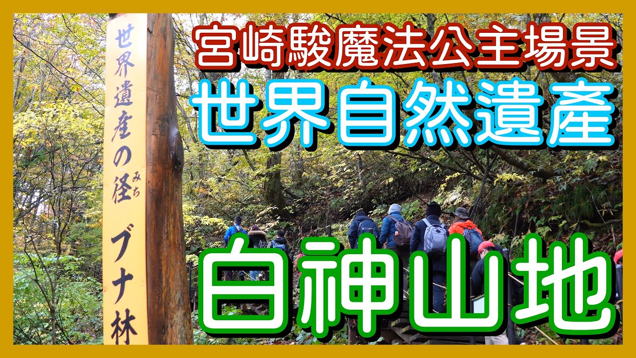 東北賞楓行-白神山地與弘前城篇。宮崎駿《魔法公主》參考場景｜弘前城與弘前植物園賞紅葉
