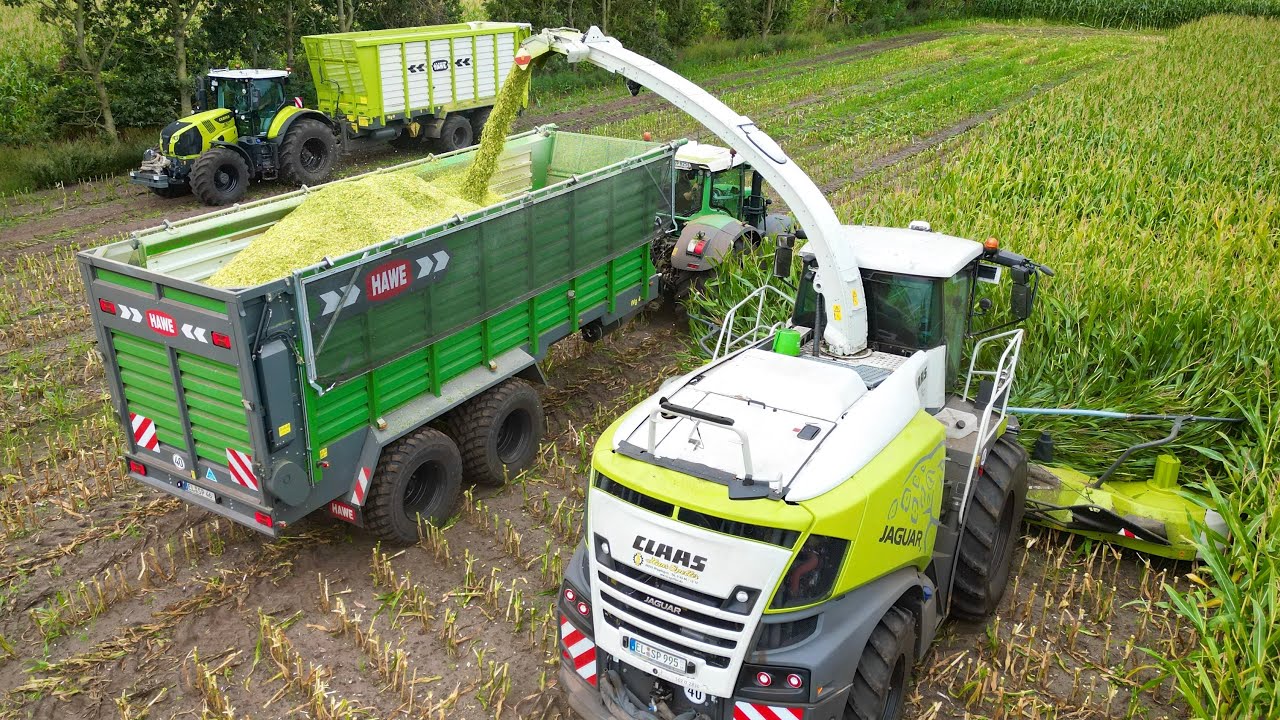 Maishäckseln 2025! Claas Jaguar Häcksler / Fendt & Claas Traktoren /  Lohnunternehmen Speller