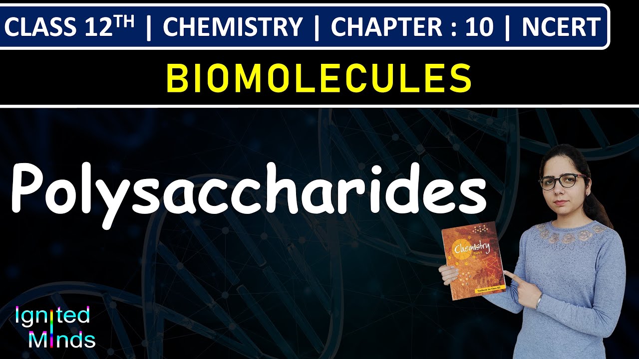 Class 12th Chemistry | Polysaccharides | Chapter 10: Biomolecules | NCERT