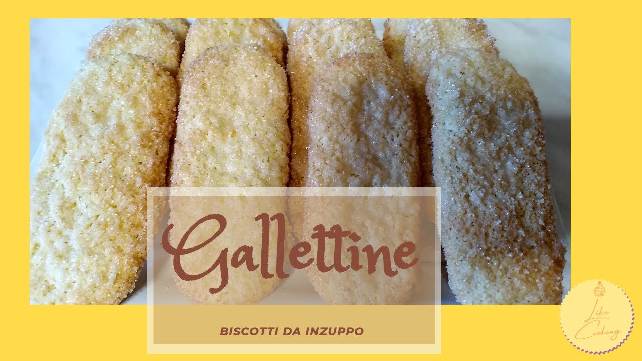 Gallettine biscotti da inzuppo