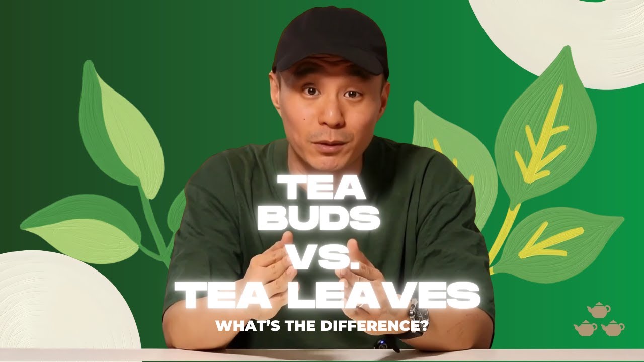 Tea Buds vs. Tea Leaves (What's the Difference?)