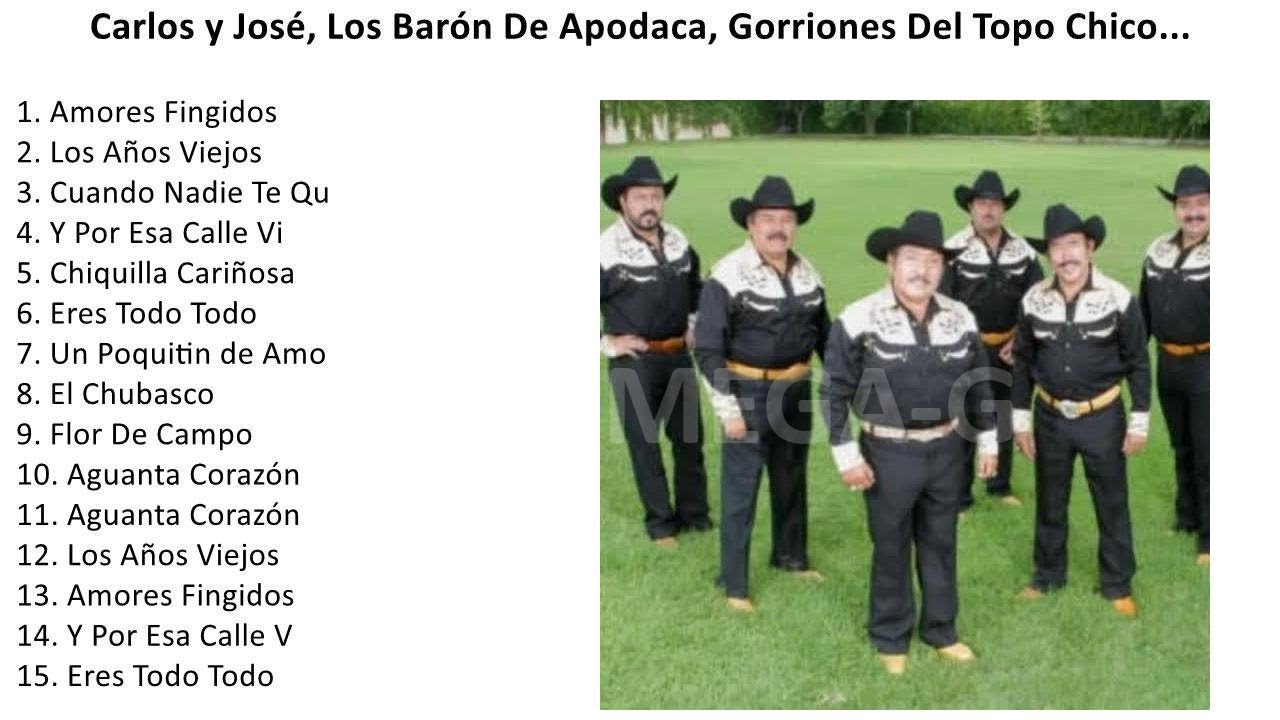 LOS MEJORES 15 EXITOS NORTE&Ntilde;OS 1989 DISCO COMPLETO1
