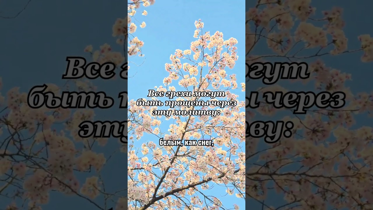 Все грехи могут быть прощены через эту молитву: #гороскоп #таро #милост
