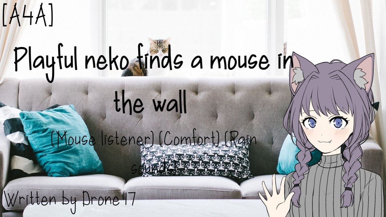 [A4A] Playful neko finds a mouse in the wall (Mouse listener) (Comfort) (Rain sounds)