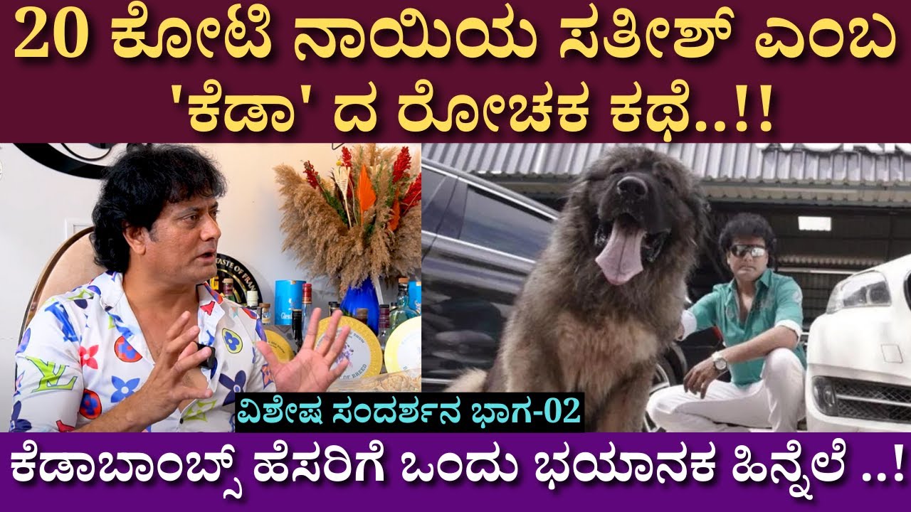 20 ಕೋಟಿ ನಾಯಿಯ ಸತೀಶ್ ಎಂಬ 'ಕೆಡಾ' ದ ರೋಚಕ ಕಥೆ..!!  | 20 Crore Dog | Satishcadaboms | Part  02