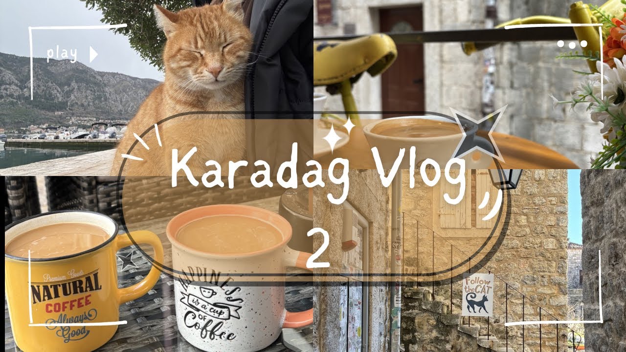Huzur Dolu Karadağ | Kedilerle Kotor ve Budva Gezisi 