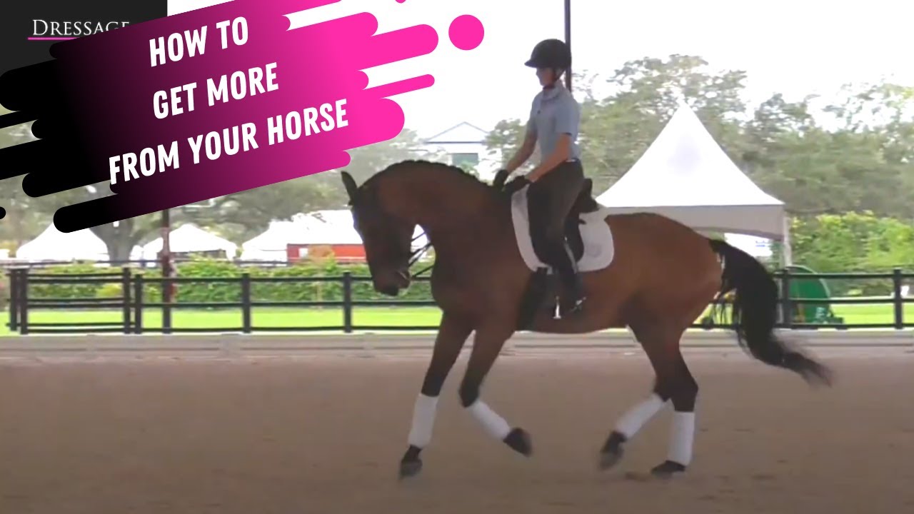 How To Get MORE From Your Horse With Laura Graves