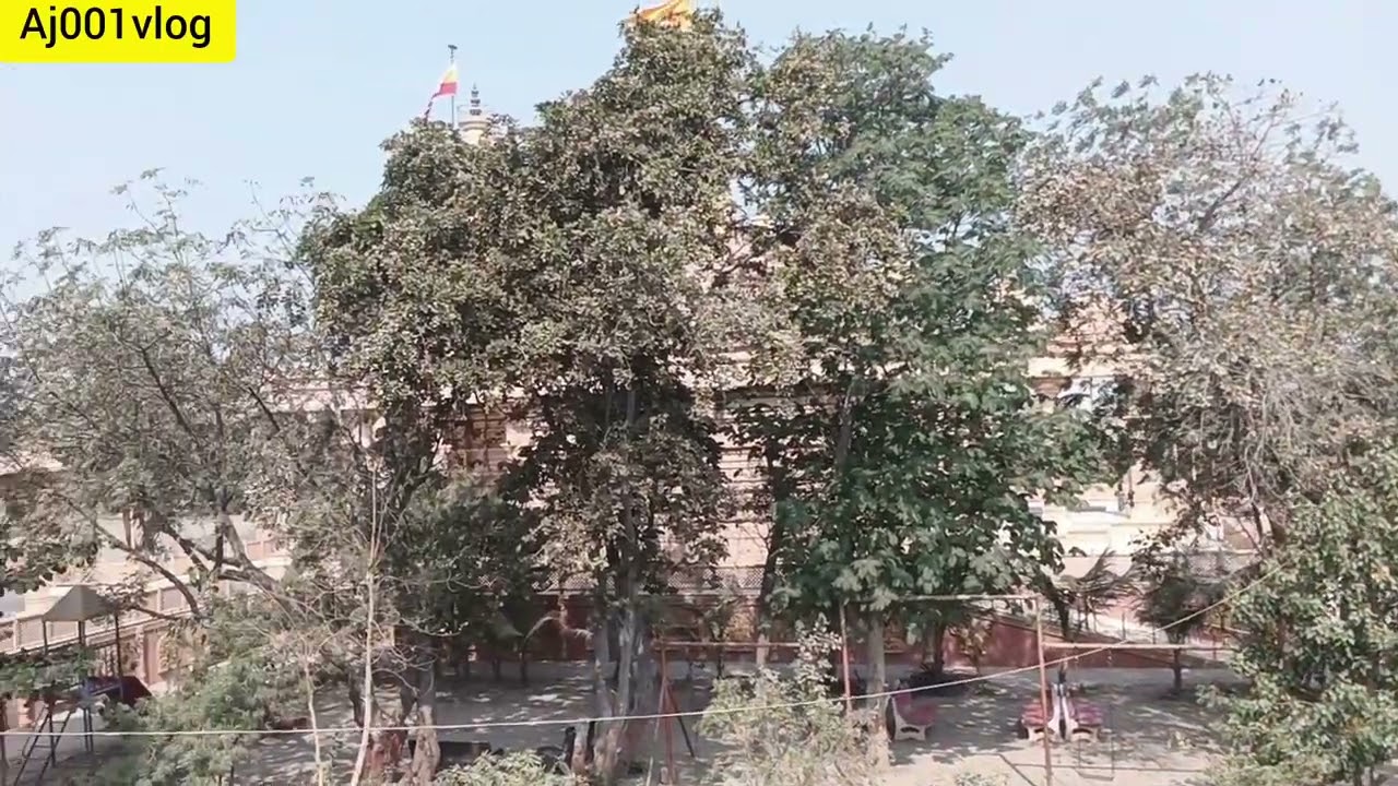 Khokra hanuman mandir #gujrat #salanpurhanuman #hanuman #morbi 