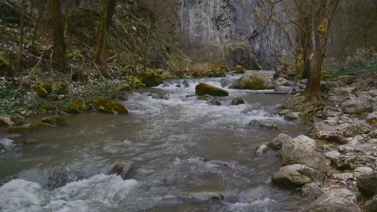 Sunet Apa Curgatoare Munte Pentru Adormit Si Relaxare 2h 4K VIDEO