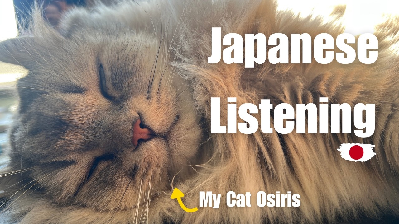Japanese Listening Practice — Casual Immersion Vlog About My Cats