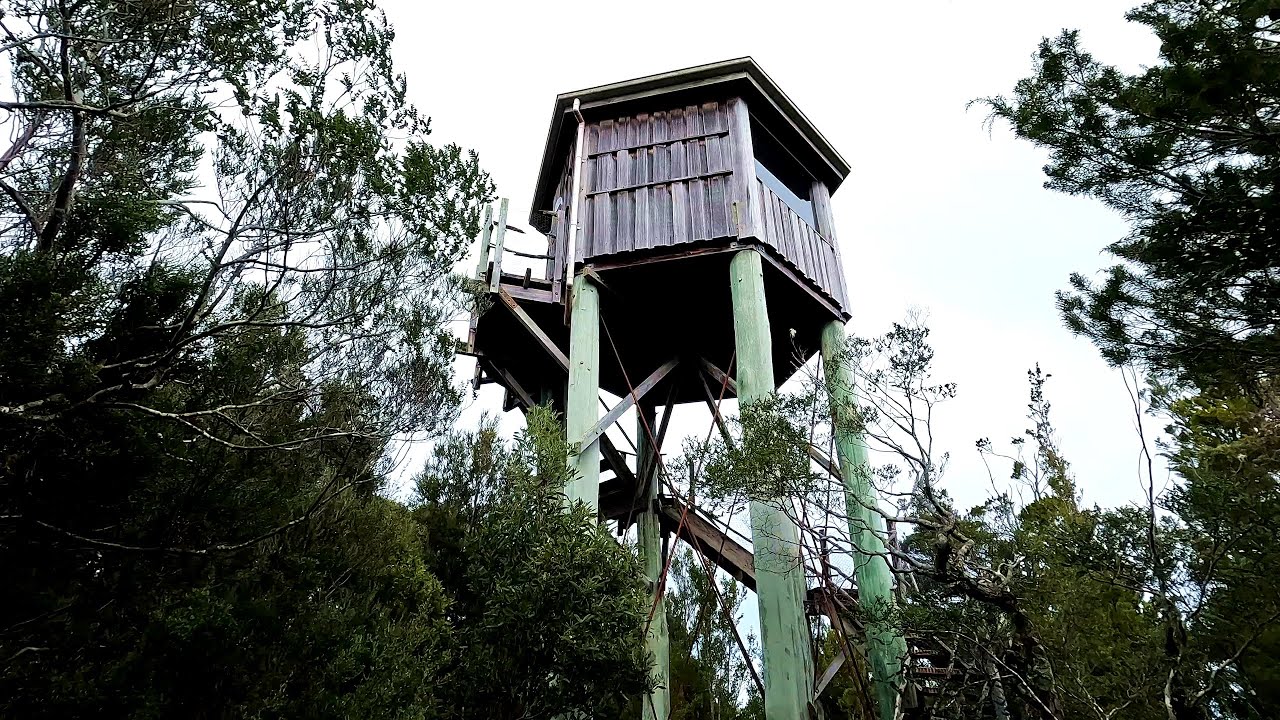 Abandoned Ecotourism Tower & Piners Hut - West Coast Tasmania