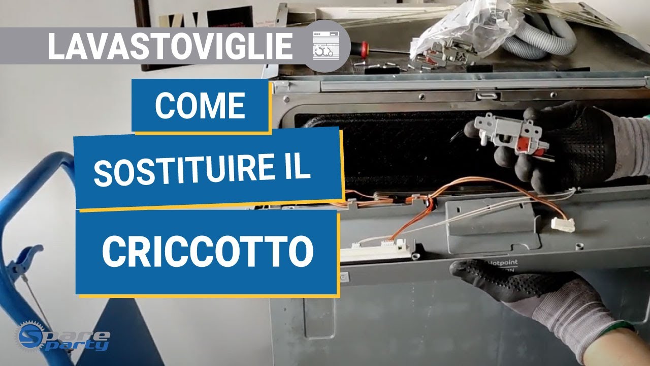 Sostituire il criccotto della lavastoviglie  - Guida per cambiare l'interruttore porta lavastoviglie