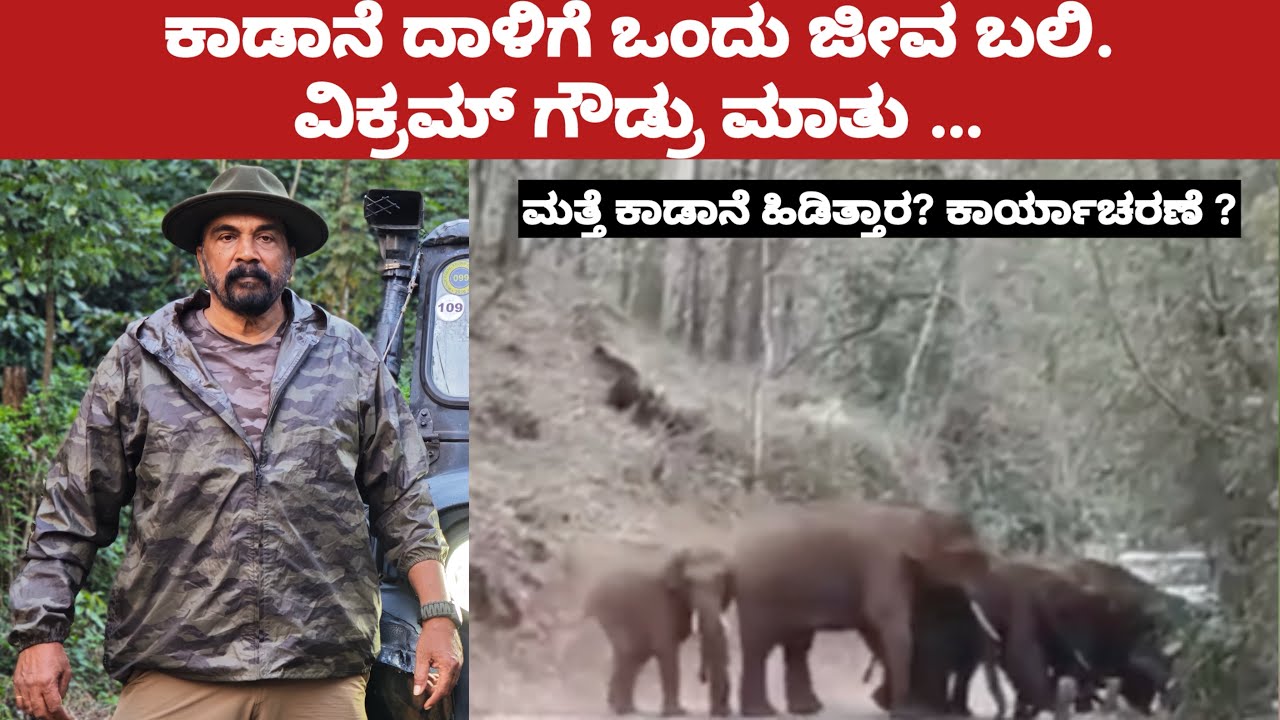 ಲೈವ್ ಕಾಡಾನೆ ದಾಳಿ ಬಗ್ಗೆ ವಿಕ್ರಮ್ ಗೌಡ್ರು ಮಾತು ಹೇಳಿದ್ದೇನು ಮತ್ತೆ ಕಾರ್ಯಾಚರಣೆ ?? Wild elephant vikram