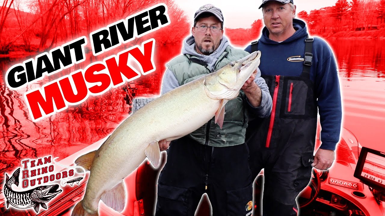 Giant River Musky - Musky Fishing