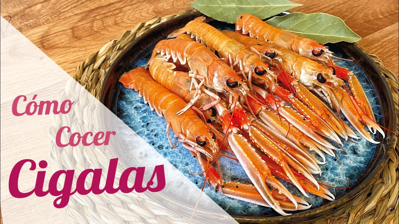 COMO COCER CIGALAS fácil y rápido🦐 TIEMPO DE COCCION CIGALAS