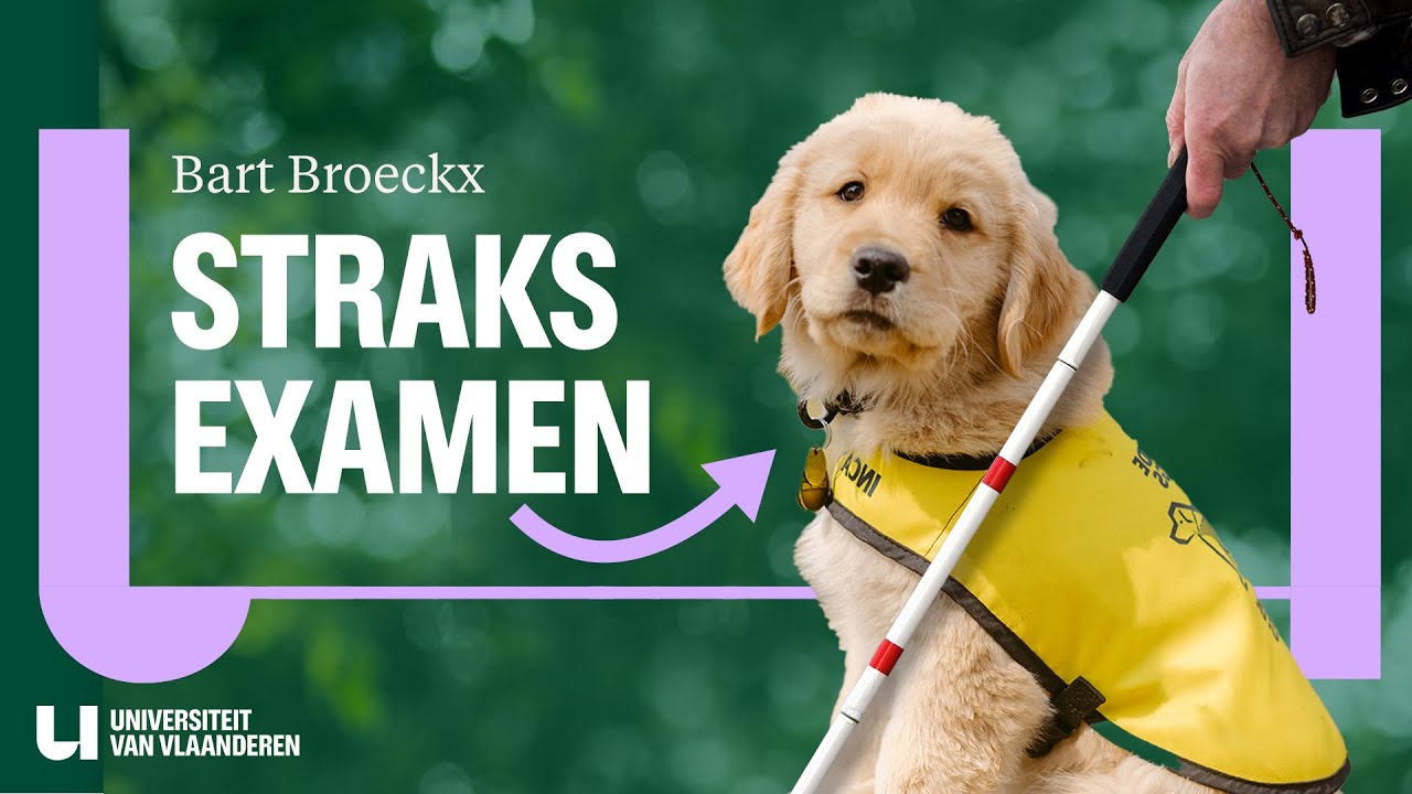 Kan élke hond een blindengeleidehond worden?