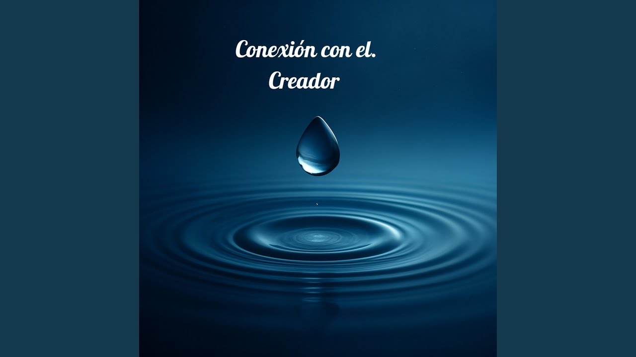 Conexi&oacute;n con el creador