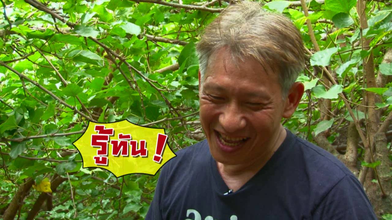 เกษตรไทยไอดอล | EP.75 ตอน มัลเบอร์รี 8 ส.ค.59