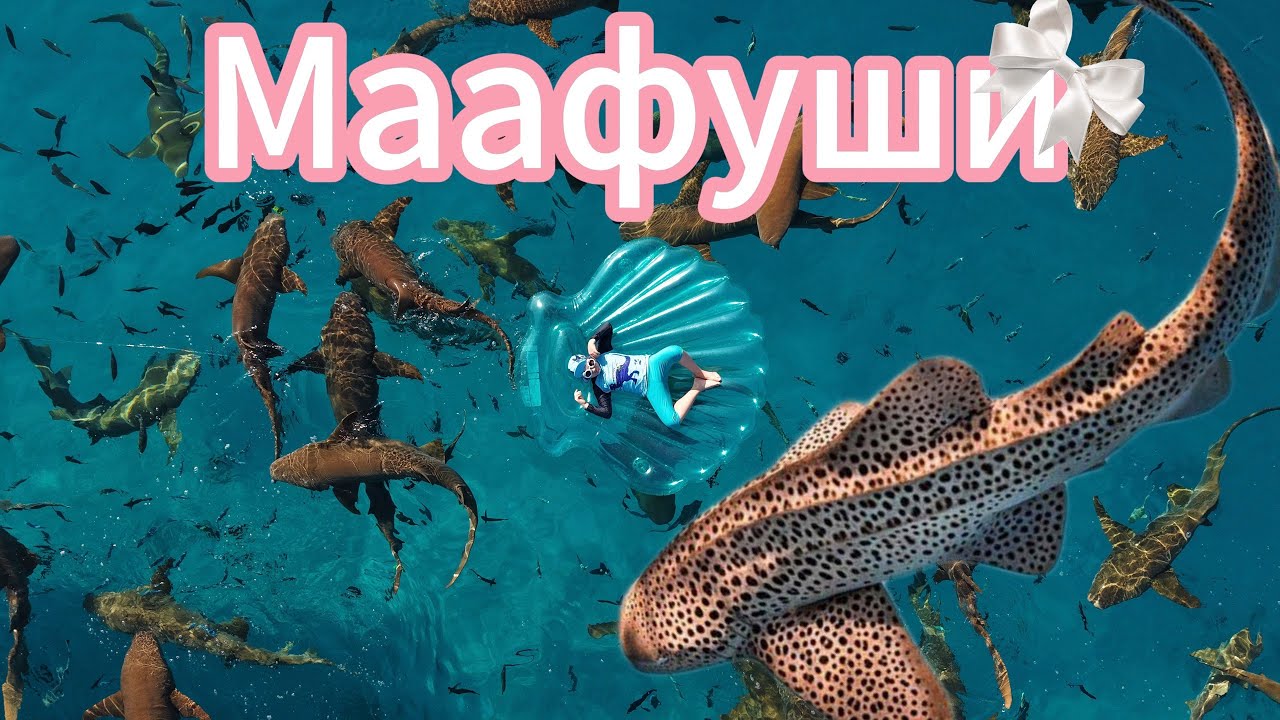 МАЛЬДИВЫ 2025: подводный обзор самых популярных экскурсий с острова Маафуши