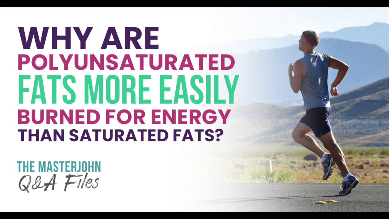 Why are polyunsaturated fats more easily burned for energy than saturated fats?
