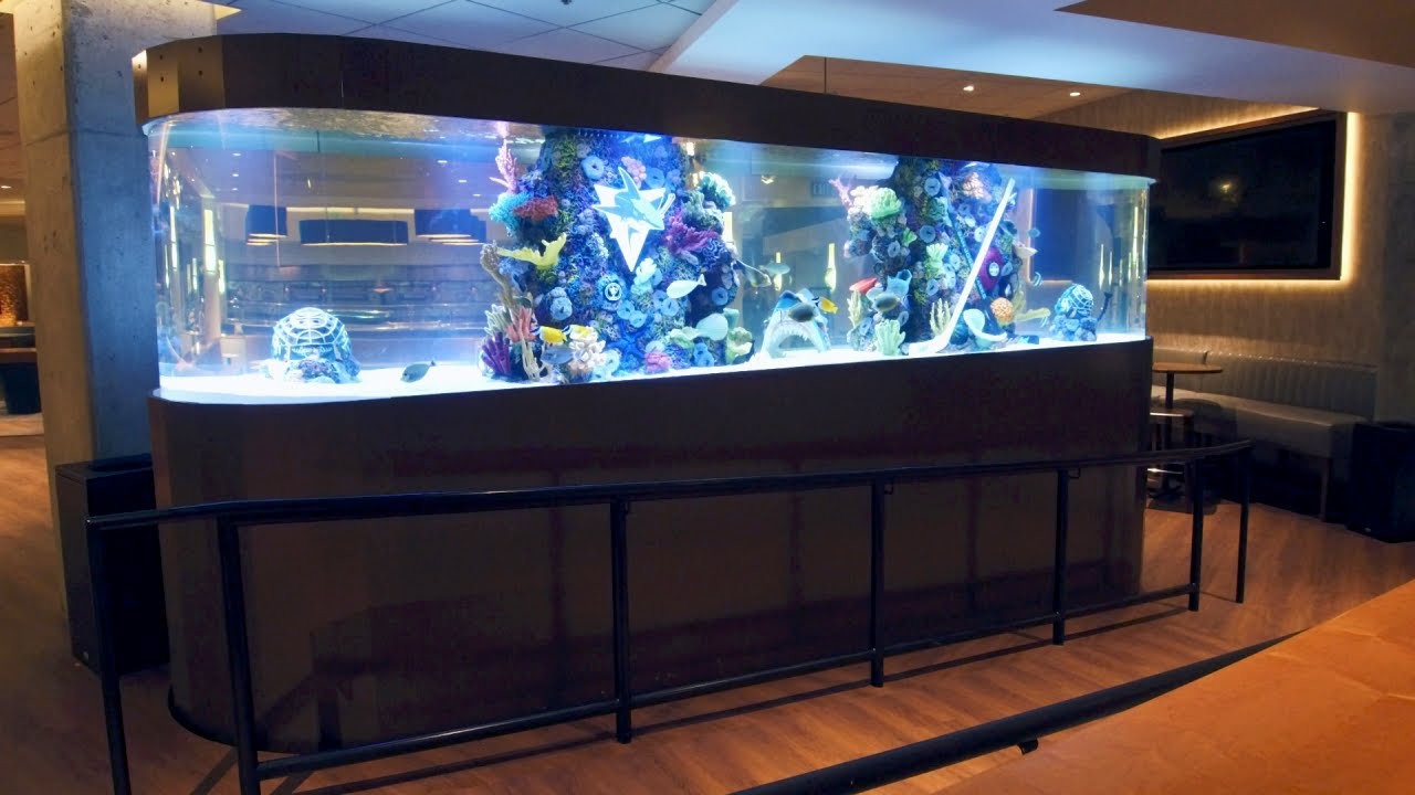 A Hockey-Themed Shark Tank For The San Jose Sharks | Tanked