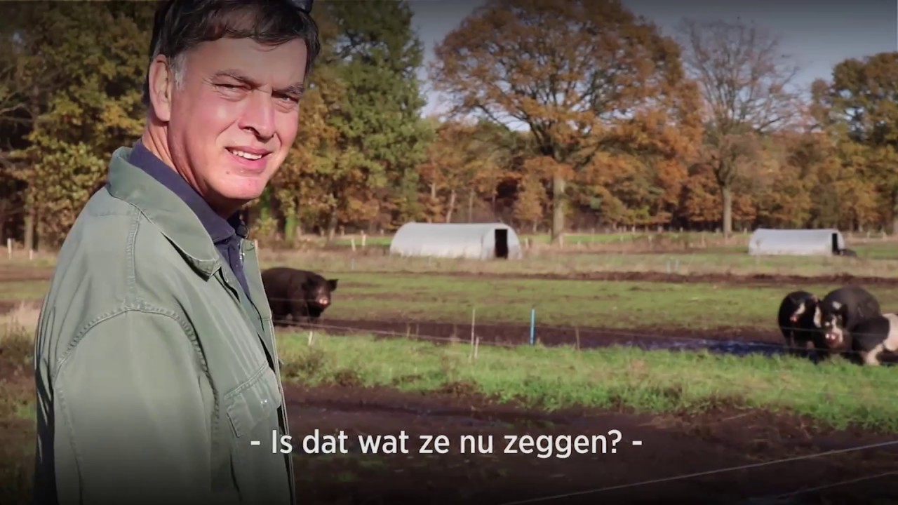 Varkensfluisteraar Kees Scheepens wil de veeindustrie veranderen door meer met varkens te praten.
