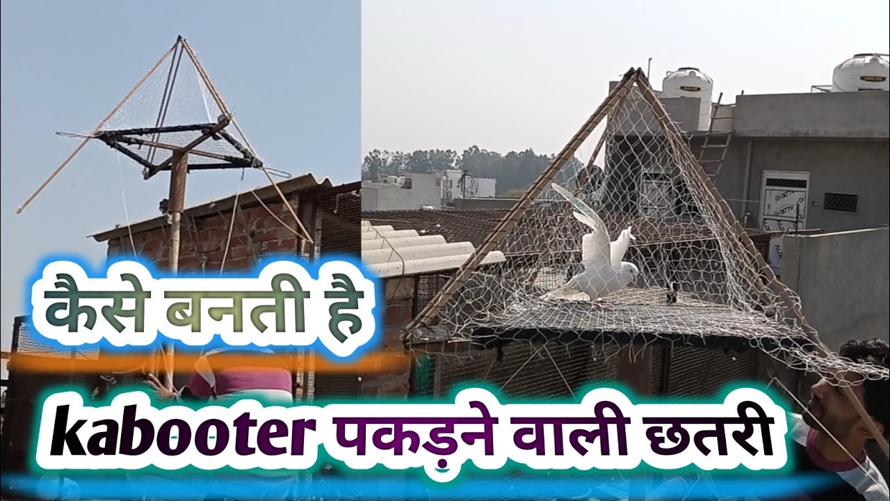 kabooter पकड़ने वाली छतरी 😱|| kabuter वाली chhatri कैसे बनती है 😱 || #pets #kabootar #pigeon#chhatri