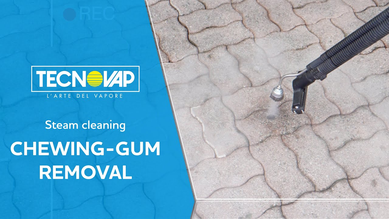 Tecnovap gum removal system