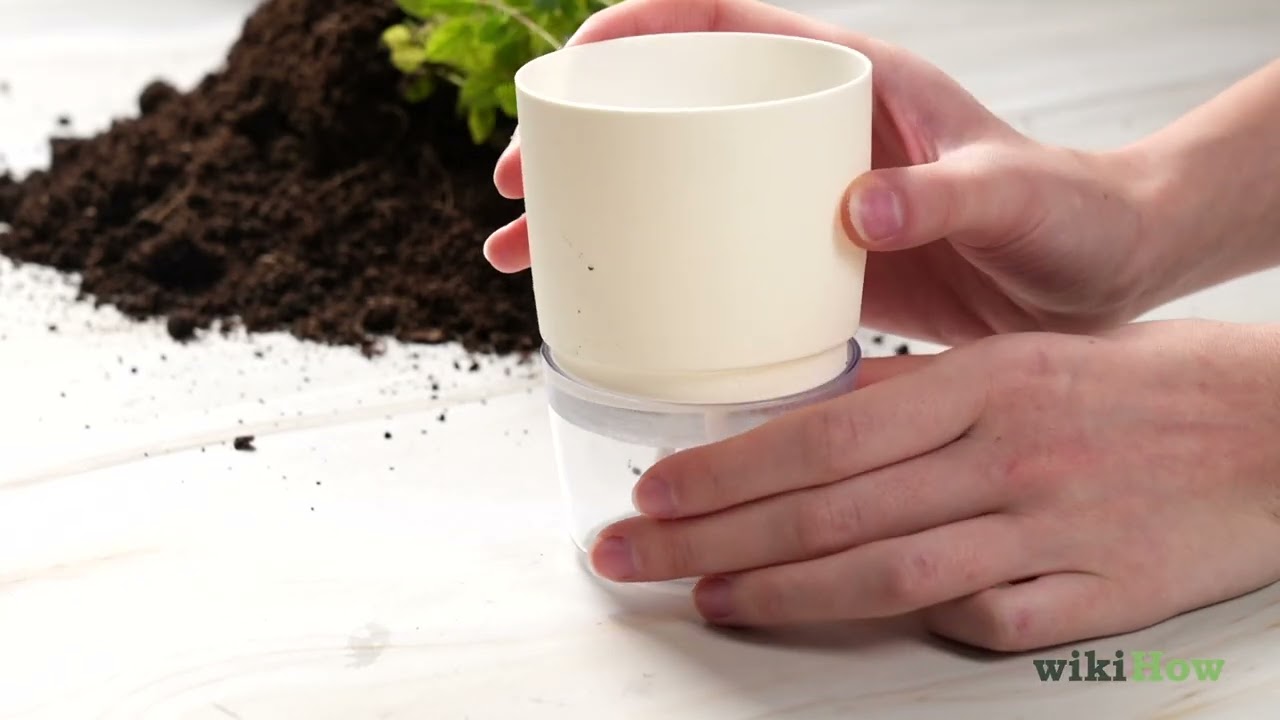 Self-Watering Planters: How to Use Them & How They Work