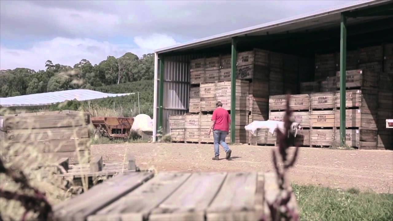 18  Mouat Farms &ndash; an Apple Orchard and much more.  Batlow , New South Wales