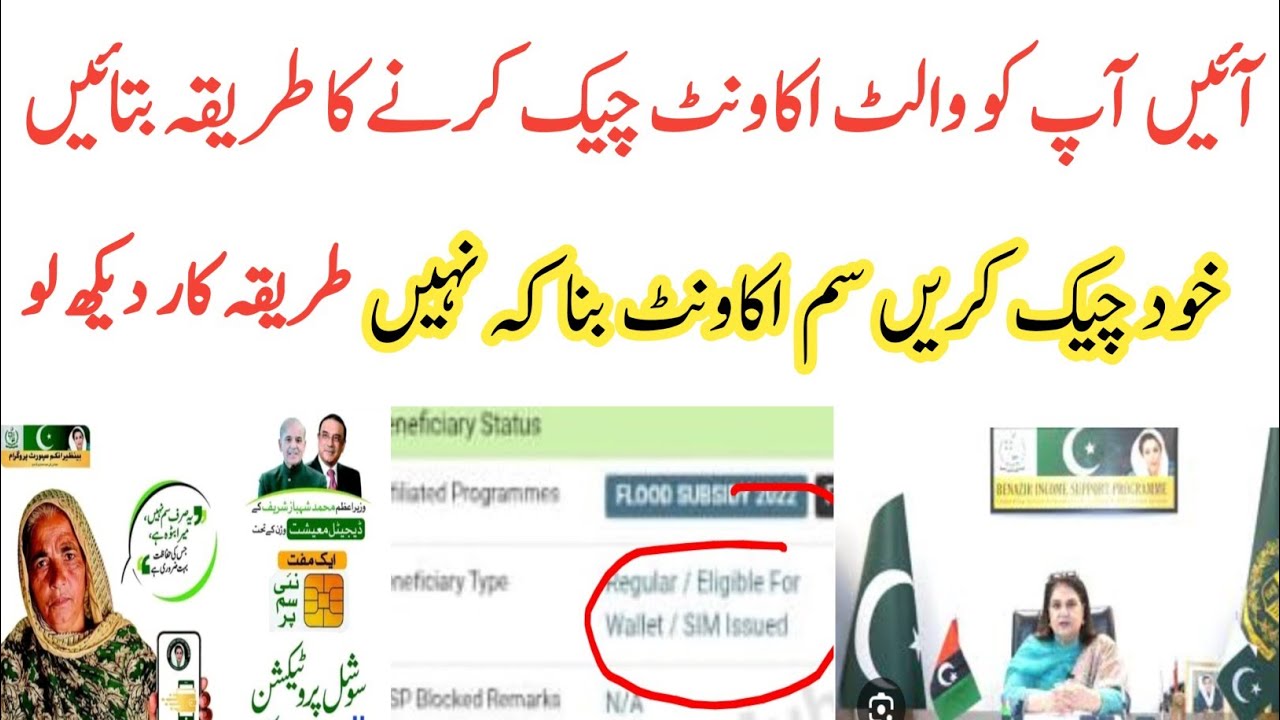 Sim Wallet Account Check Krny Ka Treeka|Ehsas Kfalat|8171 Wallet Account Update|