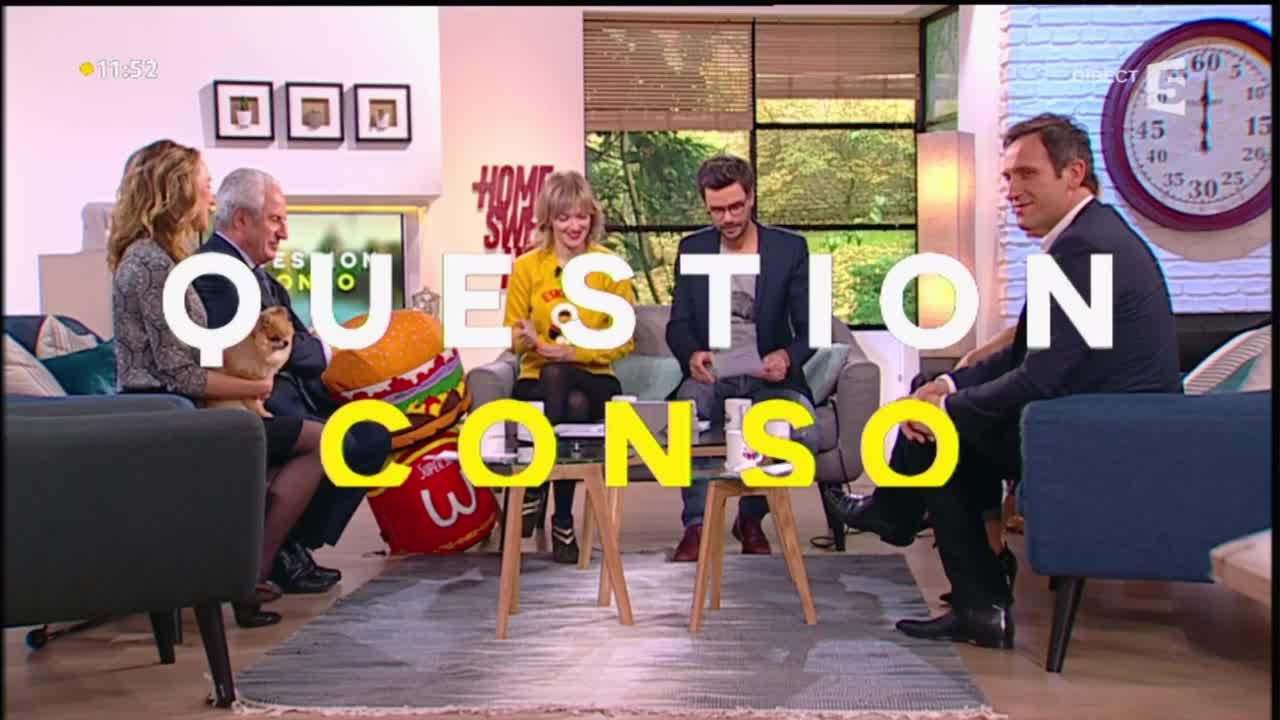 Le Loulou de Poméranie fait son grand retour ! - La Quotidienne