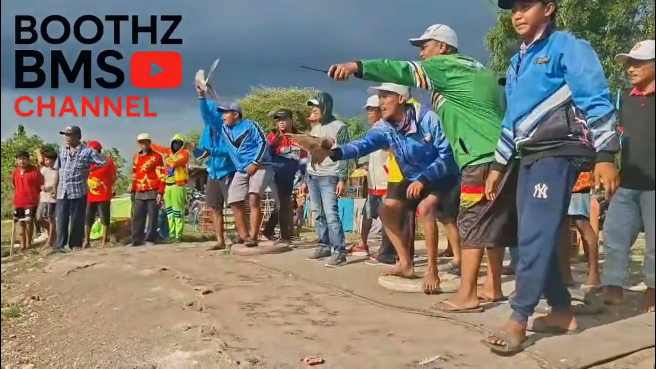 Lomba Jagungan MERPATI BALAP Lapak Tebuh Kamal 17-10-25